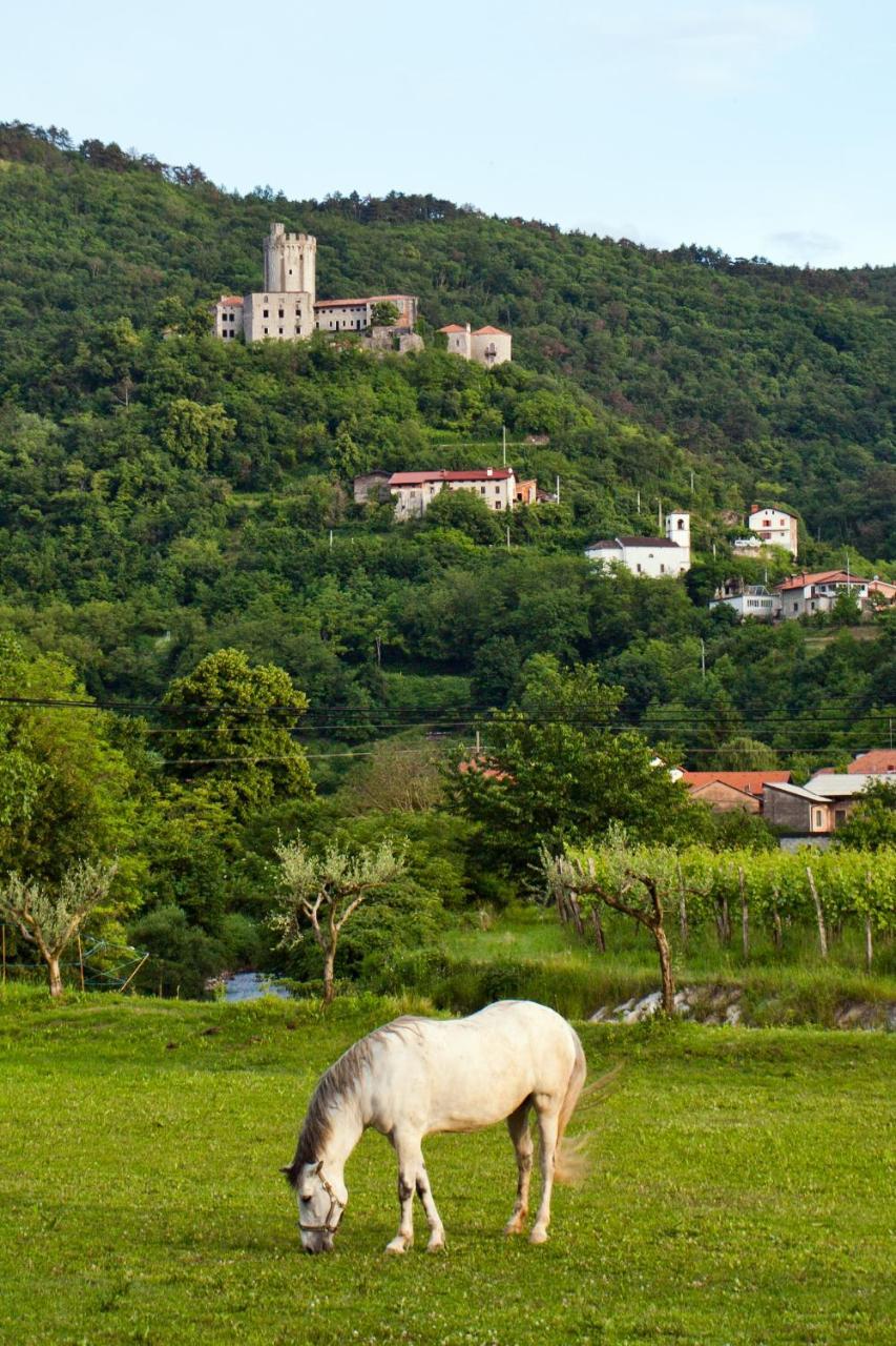 Guesthouse Osterija Branik Dış mekan fotoğraf